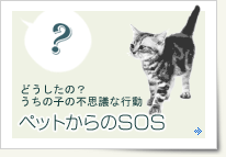 動物からのSOS